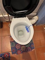 Urban Oasis in Birmingham City Centre