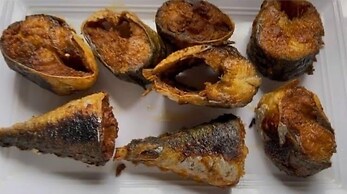 Urban Oasis in Birmingham City Centre