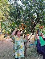 Phoohongsa Resort