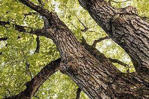 Michlhaus nature and suites