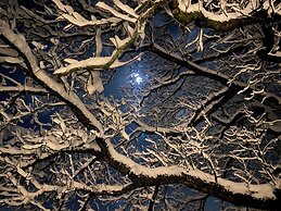 Michlhaus nature and suites