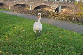 Tropical Hideaway Studio Apartment