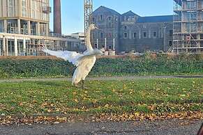 Tropical Hideaway Studio Apartment