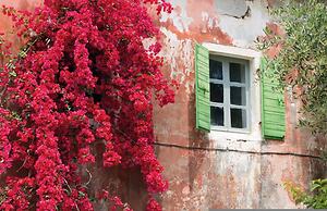 Bay View Bougainvillea Lower