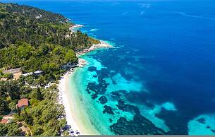 Bay View Bougainvillea Lower