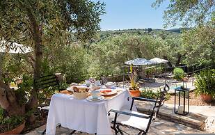 Bay View Mimosa Upper