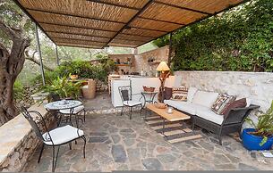 Bay View Mimosa Upper