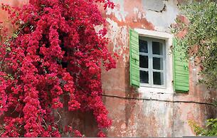 Bay View Mimosa Upper