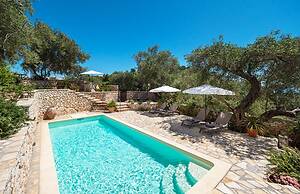 Bay View Mimosa Lower