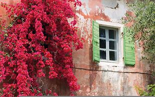 Bay View Mimosa Lower