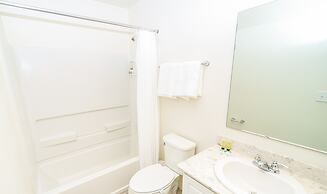 Amazing 4 Bedroom House Near Disney