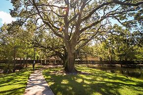 Family House With Amazing Themed Rooms
