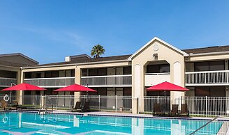 Entire Studio With Free Shuttle to Disney