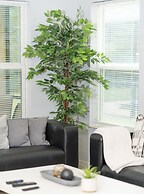 Beautiful Vacation Home Near Disney