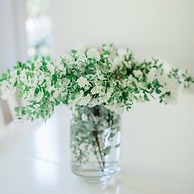 Bridgewalk Estate a Wanderlust Abodes Property