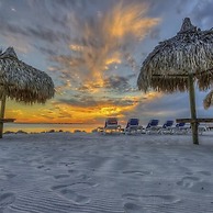 The Palm Exclusive Tropical Luxury on the Water