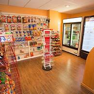 The Palm Exclusive Tropical Luxury on the Water