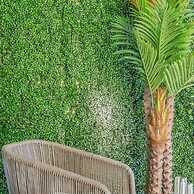 The Palm Exclusive Tropical Luxury on the Water