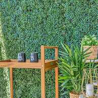 The Palm Exclusive Tropical Luxury on the Water