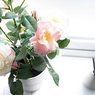 Comfy 5 Location Few Steps From BA I360