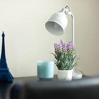 Spacious Perfect Location Moments Away From Pier