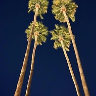 Four Palms in Deepwell Estates