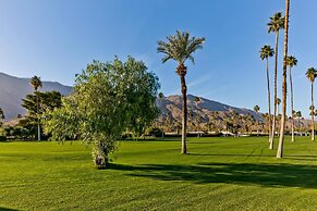 Indian Canyon Oasis in Palm Springs