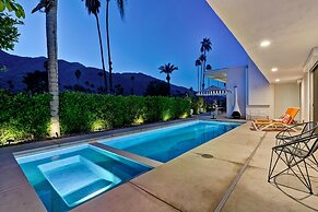 Indian Canyon Oasis in Palm Springs