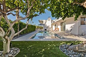 Indian Canyon Oasis in Palm Springs