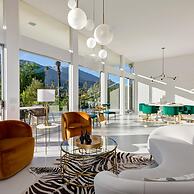 Indian Canyon Oasis in Palm Springs