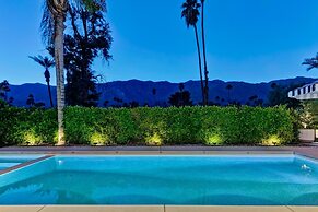 Indian Canyon Oasis in Palm Springs