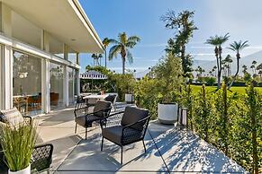Indian Canyon Oasis in Palm Springs