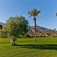 Indian Canyon Oasis in Palm Springs