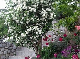 Apartments Luka & Leona