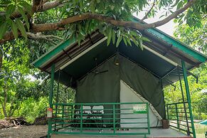 Corbett Nature Retreat