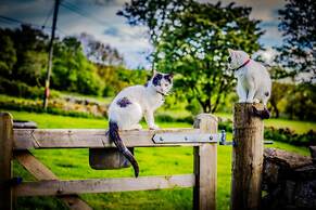 Sleeping Giant Bunkhouse