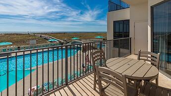 Phoenix Vii 7109 1 Bedroom Condo