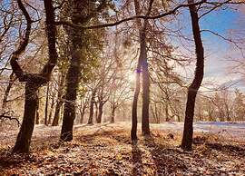 Holiday Home in Mook for 6 Person