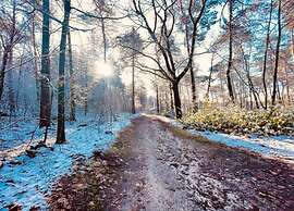 Bunglow for two Person in Mook