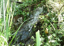 Charming Breebos Getaway