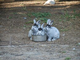 Cozy Chalet Near a National Park