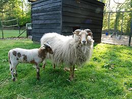 Cozy Chalet Near a National Park