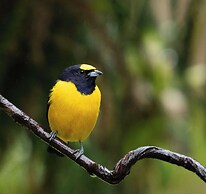 Recanto da Rose Guesthouse