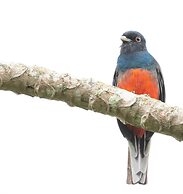 Recanto da Rose Guesthouse