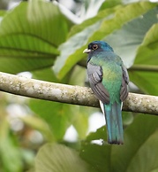 Recanto da Rose Guesthouse