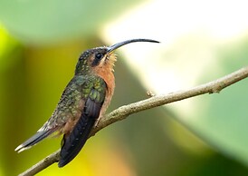 Recanto da Rose Guesthouse