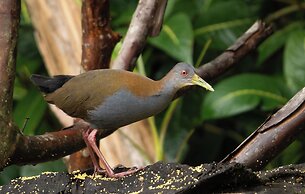 Recanto da Rose Guesthouse