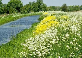 Villa by Weerribben Park