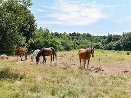 Gite le Chene Vert in a Holiday Park