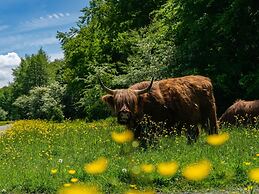 Colorful Chalet Near Amsterdam